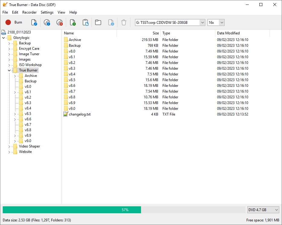 DVD burner: True Burner